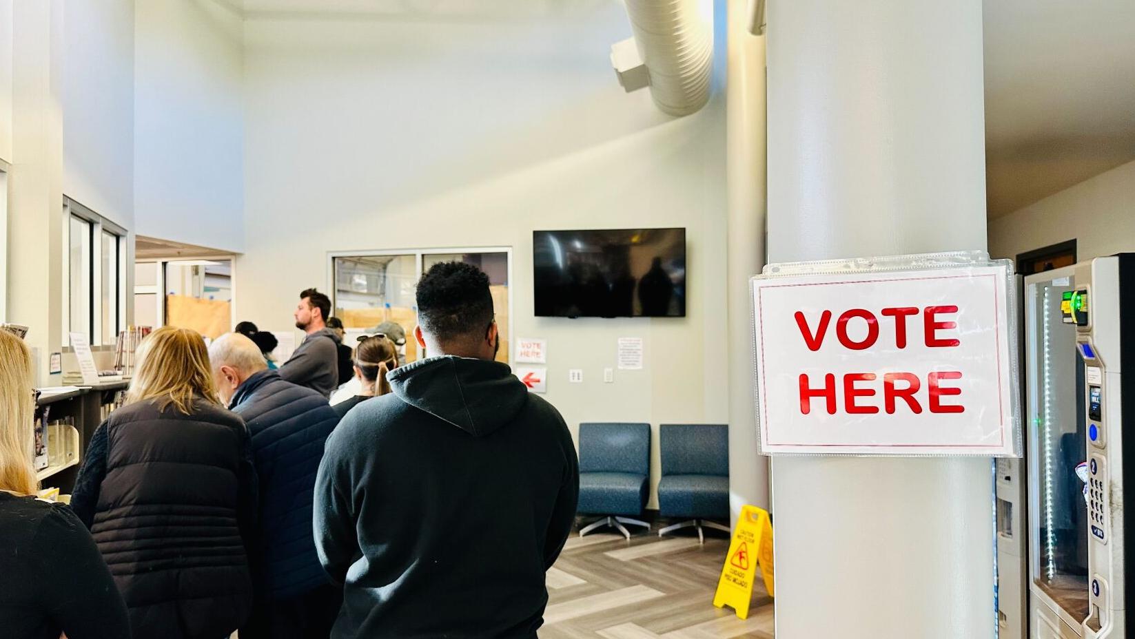 Roughly 80,000 Davidson County Voters Purged